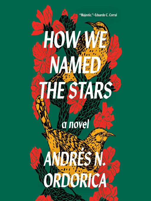 Cover image for How We Named the Stars